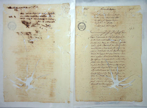 Original Digital object not accessible