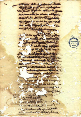 Francisca Maria da Conceição-FL49.JPG