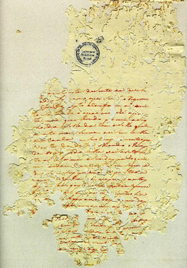 Antonio Carvalho de Oliveira-FL257.JPG