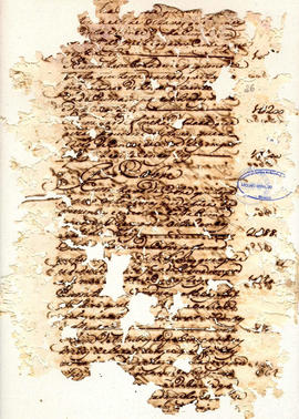 Thereza Rodrigues de Jesus-FL26.jpg