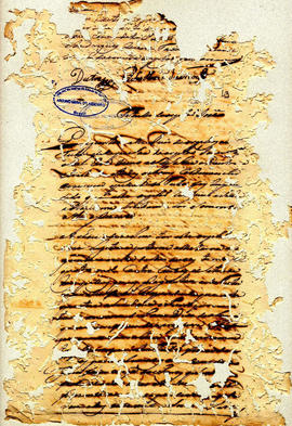 Felix Alvares Vianna-FL43.jpg