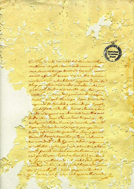 Fustuoso José Machado-FL32.JPG