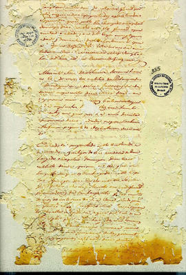 Antonio Carvalho de Oliveira-FL335.JPG