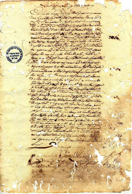 Francisca Maria da Conceição-FL04.JPG