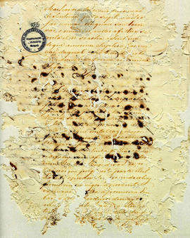 Antonio Carvalho de Oliveira-FL355.JPG