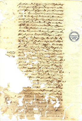 Francisca Maria da Conceição-FL12.jpg