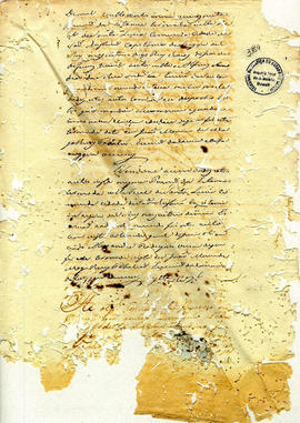 Antonio Carvalho de Oliveira-FL385.JPG