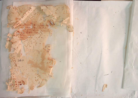 Original Digital object not accessible