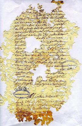 Clemente Gonçalves-FL13.jpg