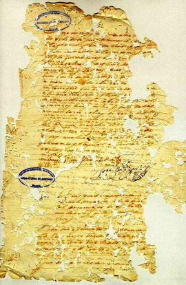 Maria Siqueira de Andrade