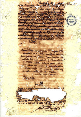 Antonio Carvalho de Oliveira-FL056.jpg