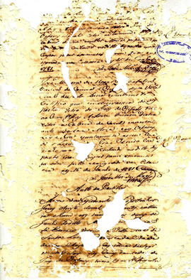 Lucianno Souza Leal-FL11.JPG