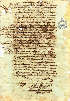 Fustuoso José Machado-FL04.JPG