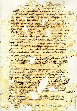 Lucianno Souza Leal-FL13.JPG