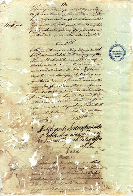 Francisca Maria da Conceição-FL06.jpg