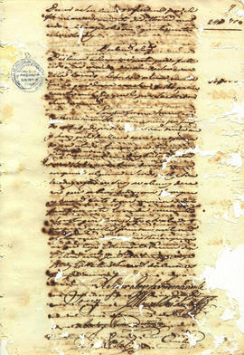 Fustuoso José Machado-FL13.JPG