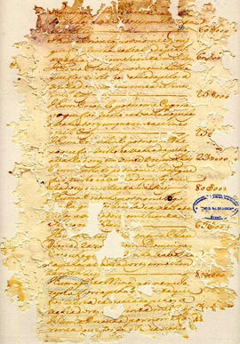 Thereza Rodrigues de Jesus-FL36.JPG