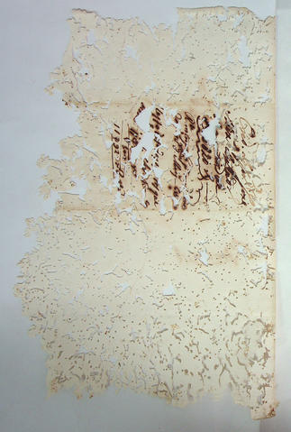 Original Digital object not accessible