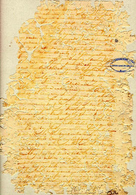 Felix Alvares Vianna-FL16.jpg