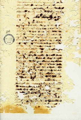 Antonio Carvalho de Oliveira-FL271.JPG