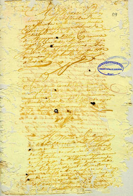 Josefa Maria da Conceição-FL09.JPG