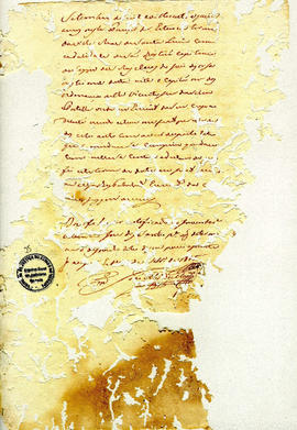 Francisca Maria da Conceição-FL25.JPG