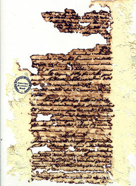 Antonio Carvalho de Oliveira-FL059.jpg