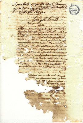 Francisca Maria da Conceição-FL20.jpg