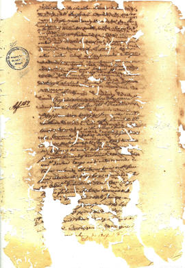 Antonio Carvalho de Oliveira-FL376.JPG