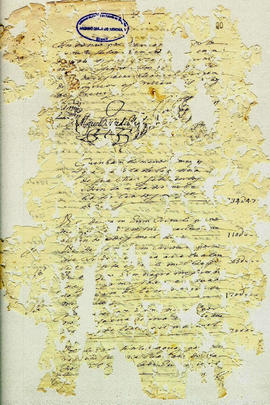 Maria Siqueira de Andrade-FL20.JPG