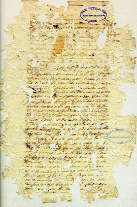 Maria Siqueira de Andrade-FL12.JPG