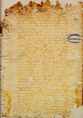 Thereza Rodrigues de Jesus-FL05.jpg