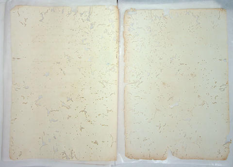 Original Digital object not accessible