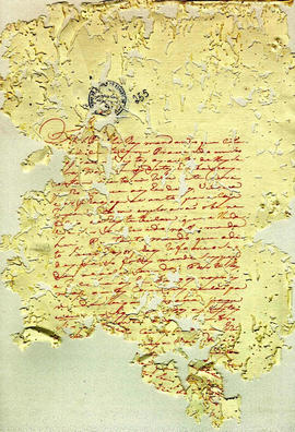 Antonio Carvalho de Oliveira-FL255.JPG