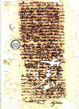 Antonio Carvalho de Oliveira-FL061.jpg