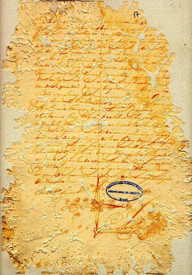 Felix Alvares Vianna-FL17.jpg