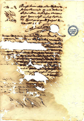 Francisca Maria da Conceição-FL43.JPG