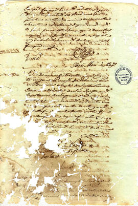 Francisca Maria da Conceição-FL16.jpg