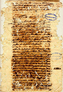 Felix Alvares Vianna-FL44.jpg