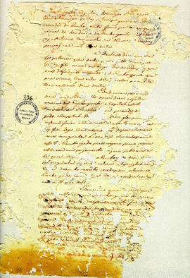 Antonio Carvalho de Oliveira-FL336.JPG