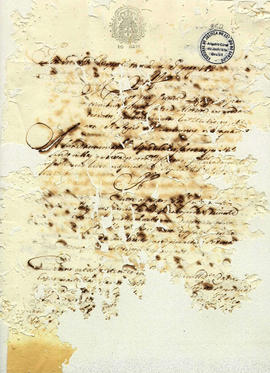 Antonio Carvalho de Oliveira-FL352.JPG