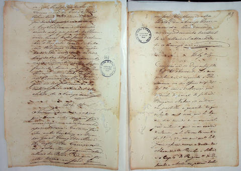 Original Document numérique not accessible