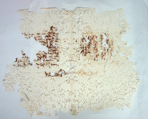 Original Digital object not accessible