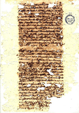 Antonio Carvalho de Oliveira-FL053.JPG