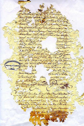 Clemente Gonçalves-FL14.jpg