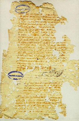 Maria Siqueira de Andrade-FL01.JPG