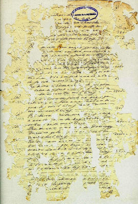 Maria Siqueira de Andrade-FL21.JPG