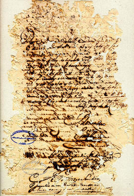 Felix Alvares Vianna-FL33.jpg