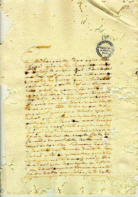 Antonio Carvalho de Oliveira-FL173.JPG