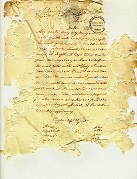 Antonio Carvalho de Oliveira-FL389.JPG